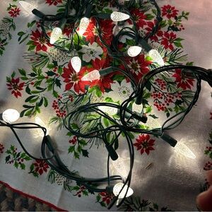 Christmas lights and a  tree top star light.